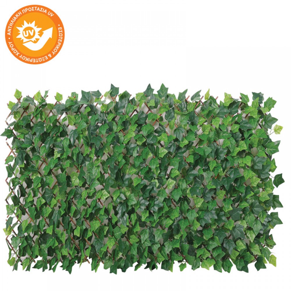 PERGOLA DE BAMBUS PLIABLE CU IEDERA VERDE - 90x180 