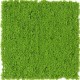 Mușchi Artificial Sphagnopsida 50*50