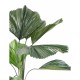Ghiveci Licuala artificială verde 120 cm Ghiveci Licuala artificială verde 120 cm