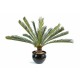 Ghiveci palmier Cycas artificial verde 100 cm Ghiveci palmier Cycas artificial verde 100 cm