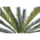 Ghiveci  palmier Cycas artificial verde 200 cm