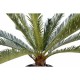 Ghiveci  palmier Cycas artificial verde 200 cm