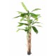 Ghiveci Bananier artificial verde de 240 cm