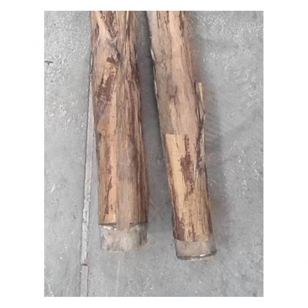 Ghiveci Bananier artificial verde de 400 cm Ghiveci Bananier artificial verde de 400 cm