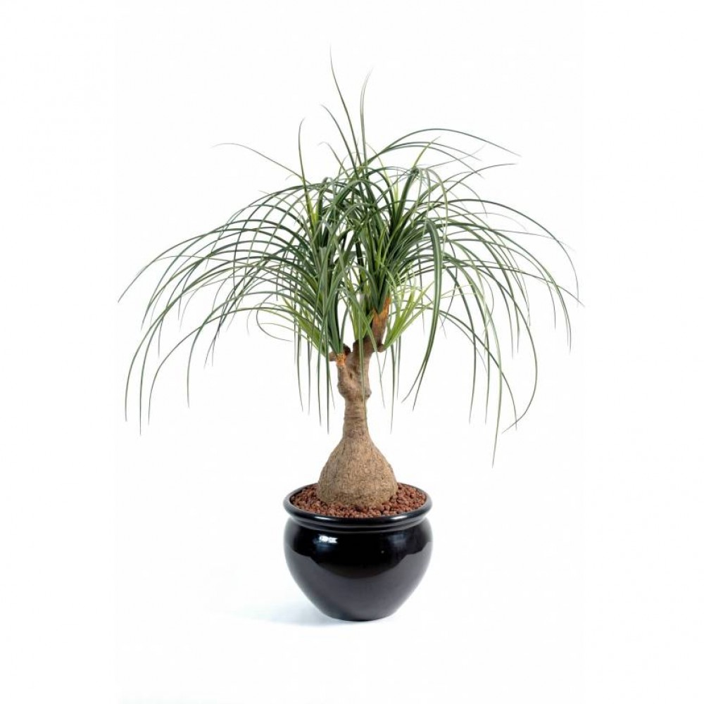 Ghiveci Beaucarnea verde artificial 75 cm