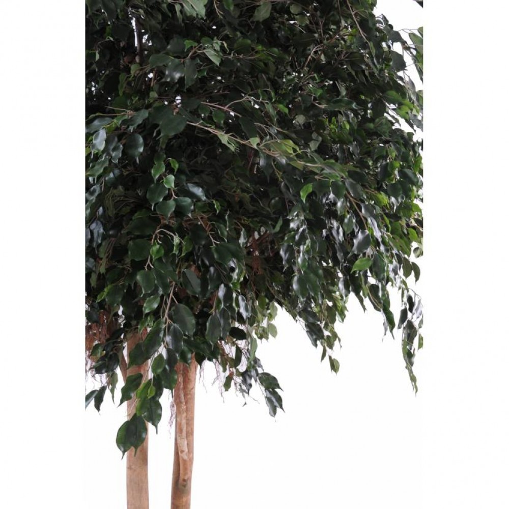 Ghiveci Giant Ficus Exotica verde artificial 350 cm