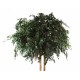 Ghiveci Giant Ficus Exotica verde artificial 350 cm