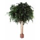 Ghiveci Giant Ficus Exotica verde artificial 350 cm Ghiveci Giant Ficus Exotica verde artificial 350 cm