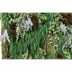 Panou Cascadă artificială de plante verzi 130 cm