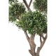 Maslin artificial in ghiveci  235 cm