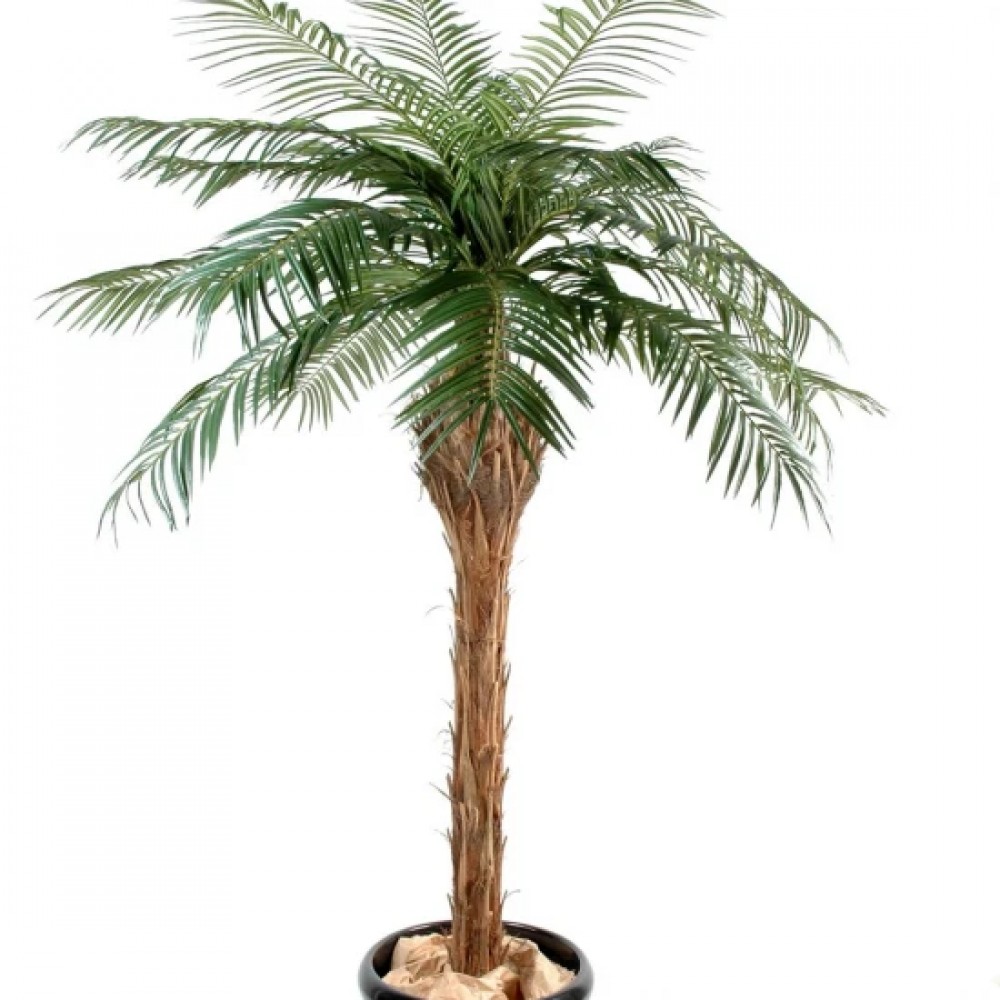 Palmier artificial, Phoenix verde, 210 cm