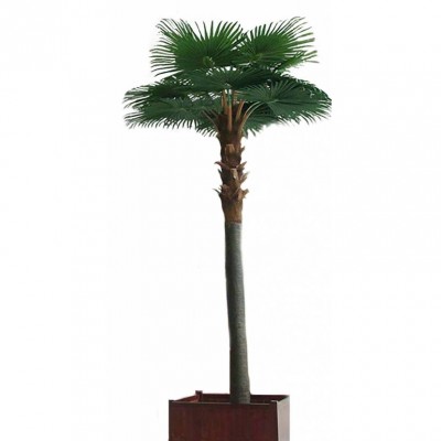 Arbore Palmier artificial Camerus verde 500 cm Arbore Palmier artificial Camerus verde 500 cm