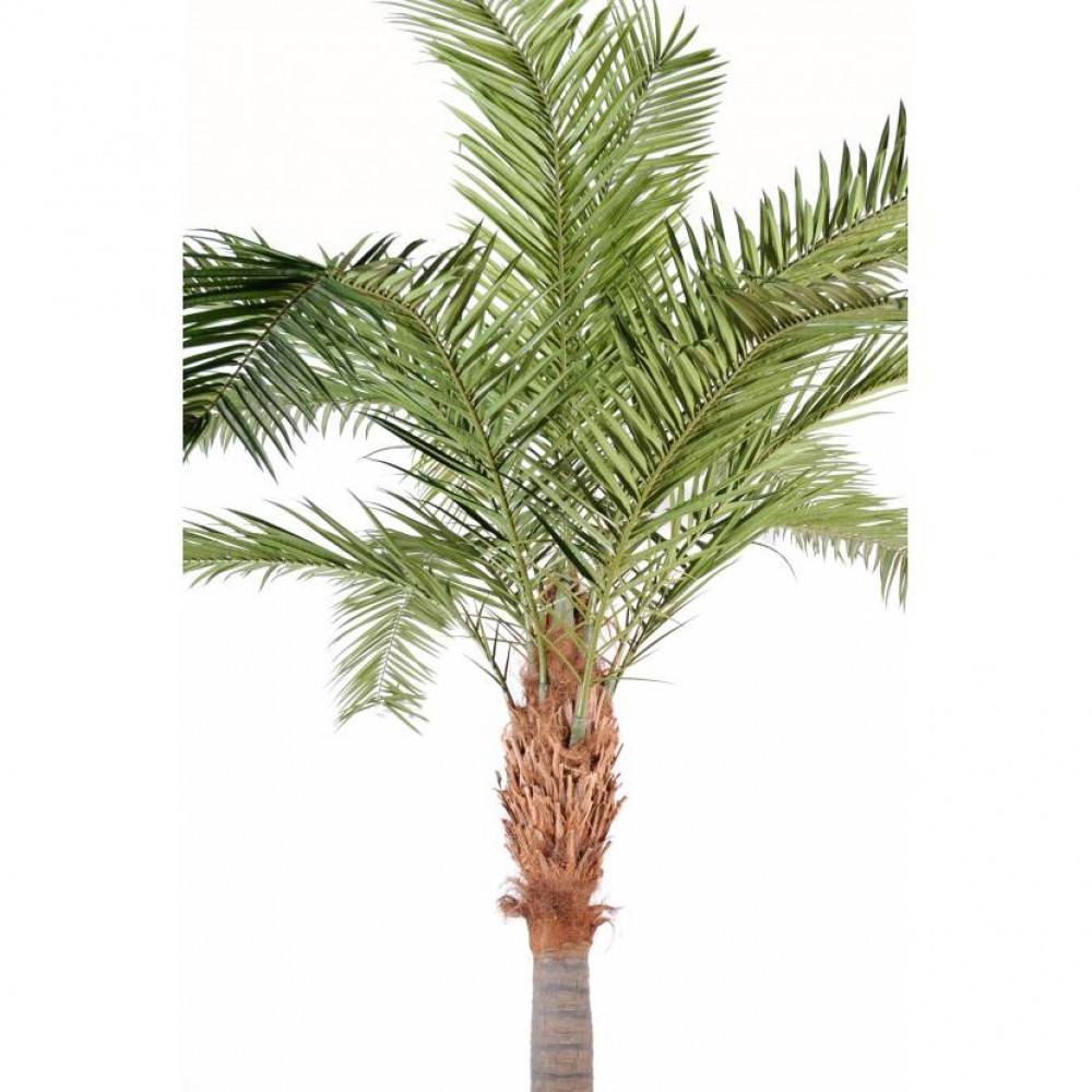 Arbore Verde artificial Phoenix Canariensis 380 cm