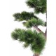 Ghiveci Pin bonsai verde artificial 220cm