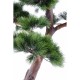 Ghiveci Pin bonsai verde artificial 220cm