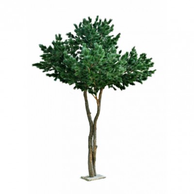 Arbore Pin martim verde artificial 430cm Arbore Pin martim verde artificial 430cm