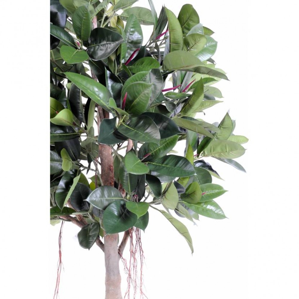 Ghiveci Ficus Elastica verde artificial 220 cm