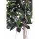 Ghiveci Ficus Elastica verde artificial 220 cm