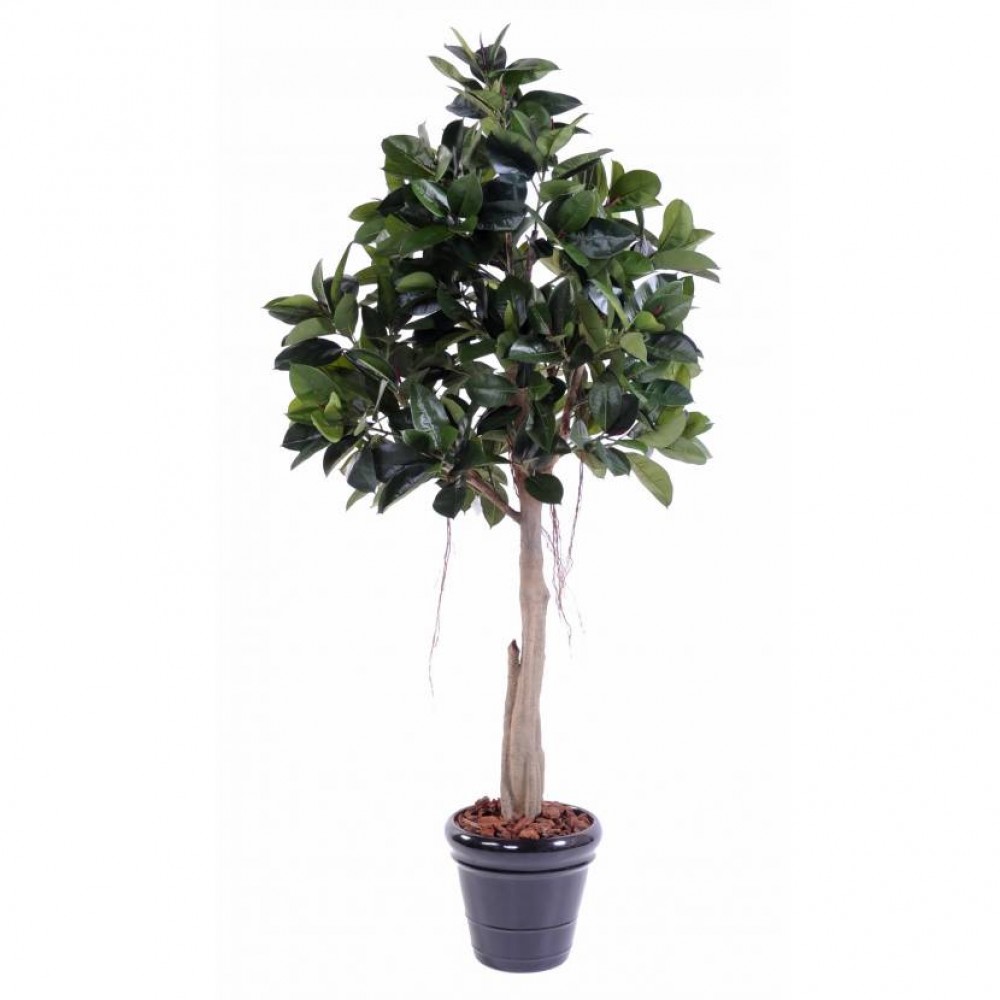 Ghiveci Ficus Elastica verde artificial 220 cm
