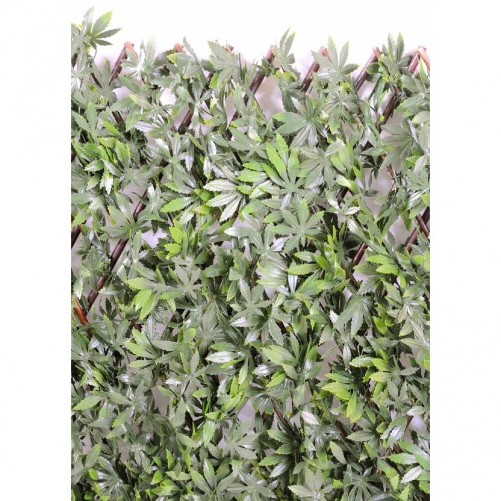 Paravan artificial Aralia verde  100 cm