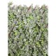 Paravan artificial Aralia verde  100 cm