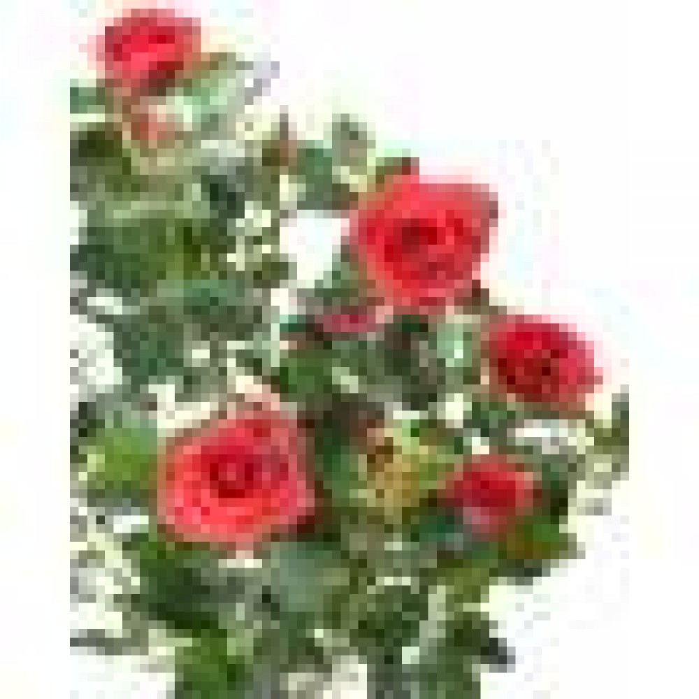 Tufa de trandafir regal artificial rosu 100 cm