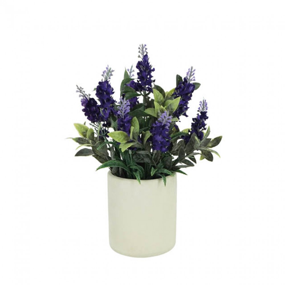 Compozitii de lavanda  - Φ20x30cm