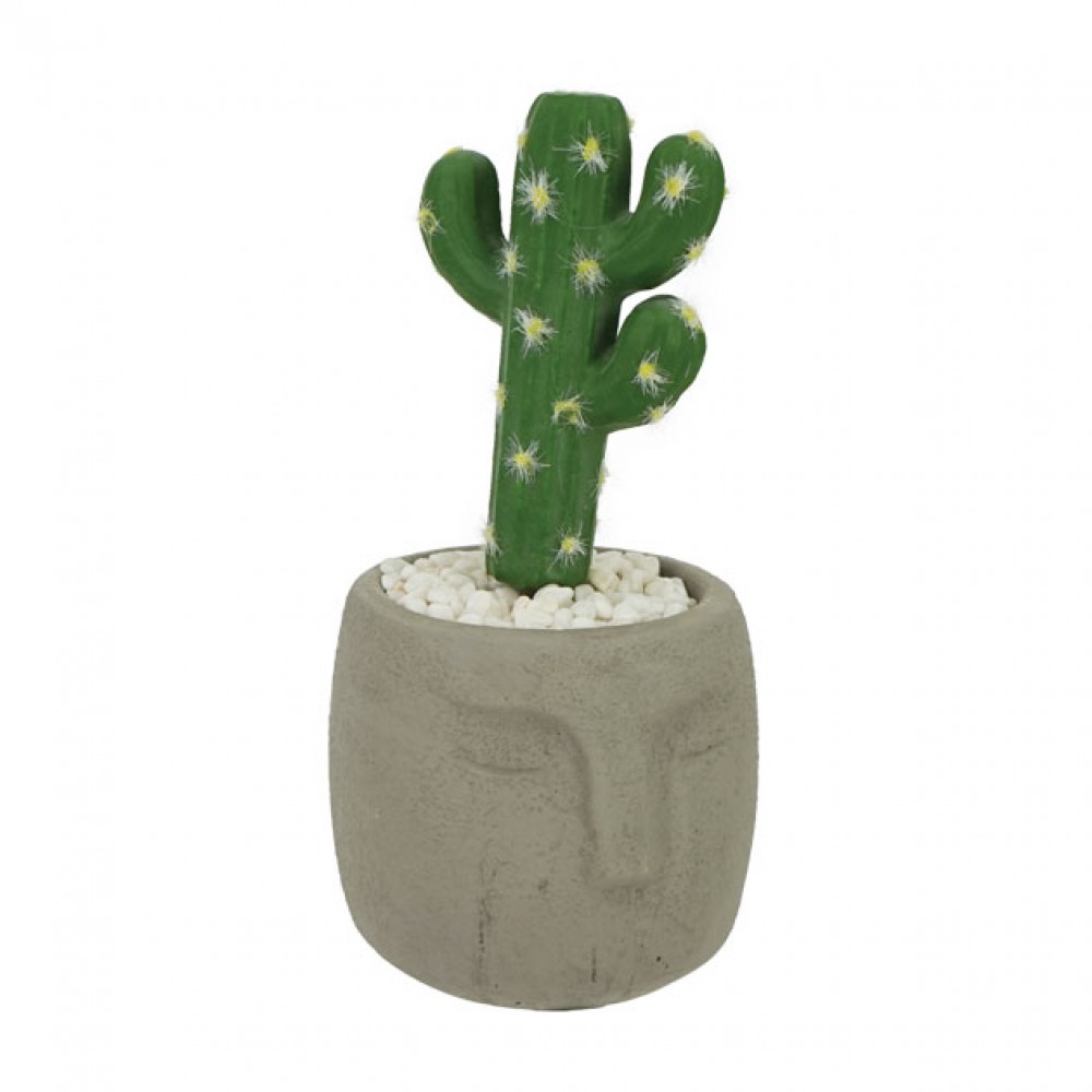 Cactus in ghiveci  Φ9x20cm 1/48KB
