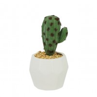 Cactus in ghiveci  9,5x20cm 1/48KIB