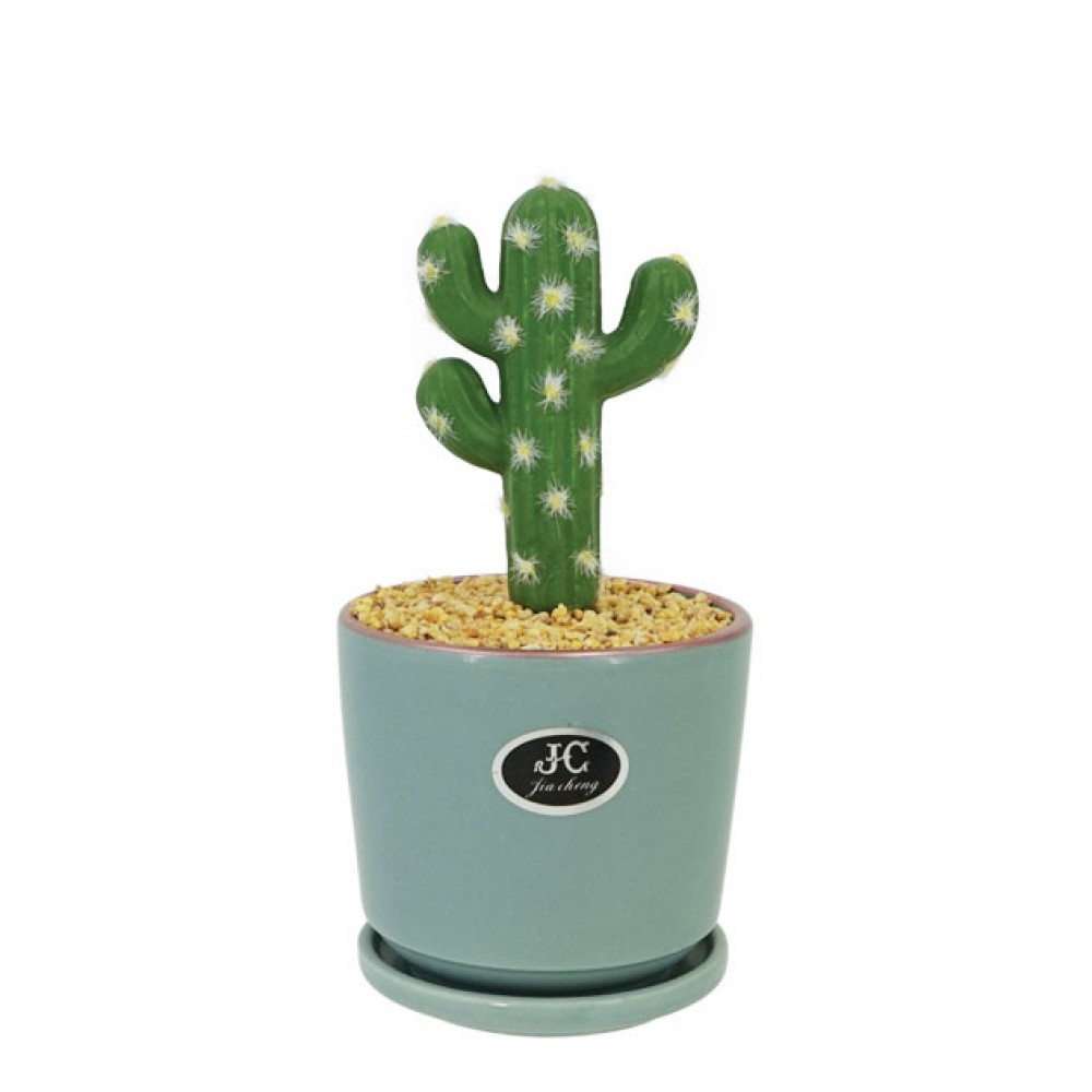 Cactus in ghiveci  Φ11x24cm 1/48KB