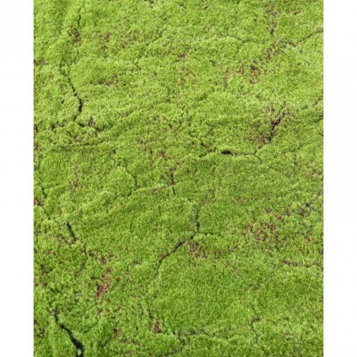 Panou decorativ muschi de lemn 100x100 Panou decorativ muschi de lemn 100x100