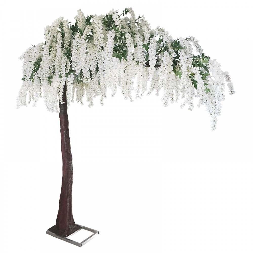 SALCAM ALB CU LATEA FLORI IN ASTEPTARE - H310cm 1/CUTIE