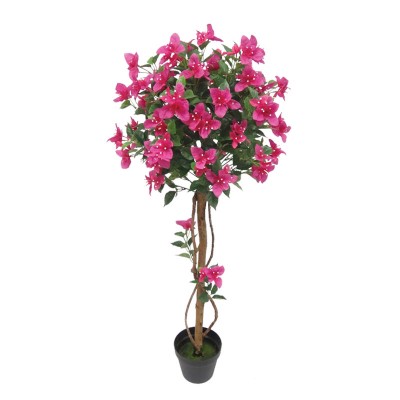 Ghiveci Bougainvillea fuchsia în ghiveci H120cm 1/4 KG