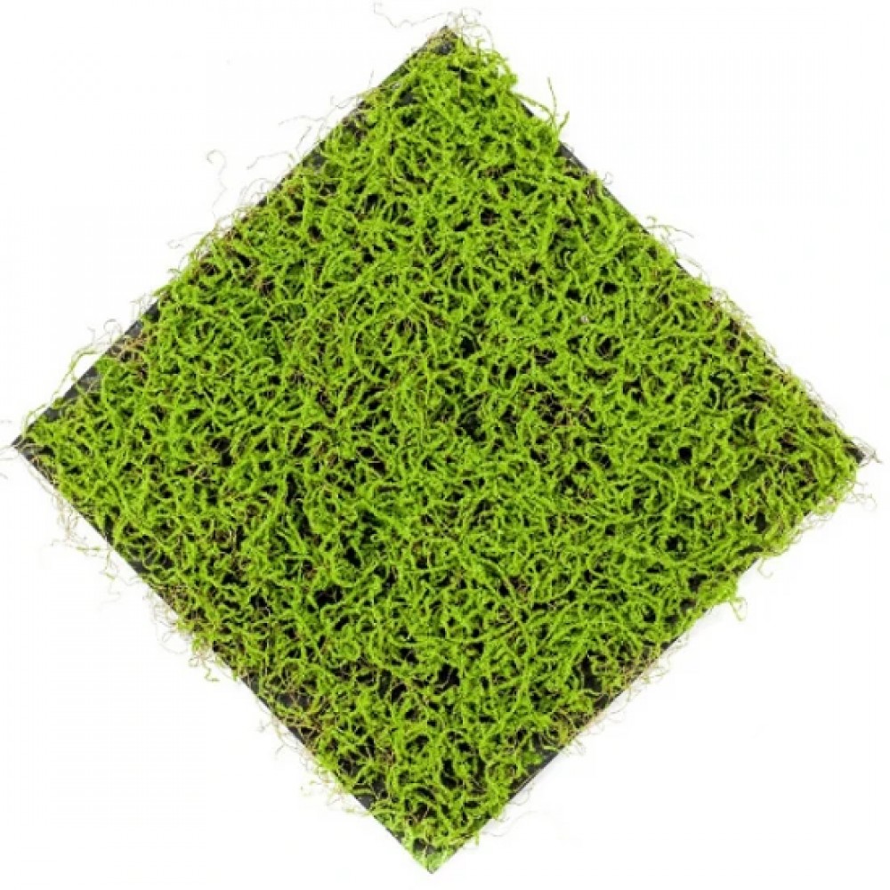 Panou decorativ artificiala verde deschis 50x50 cm
