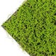 Panou decorativ artificiala verde deschis 50x50 cm