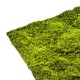 Panou decorativ muschi artificial verde 100x100 cm