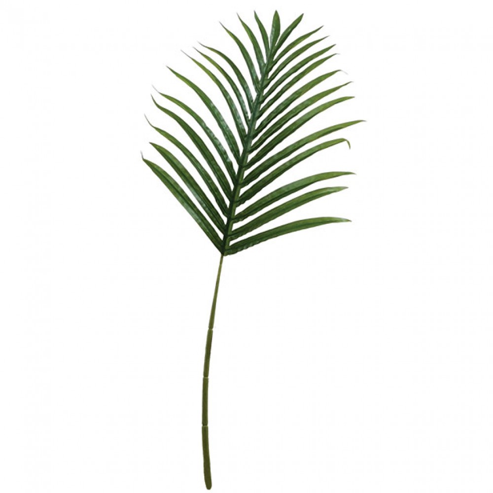 Frunza de palmier (26 FRUNZE) Y63cm. 48/288KB