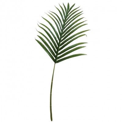 Frunza de palmier (26 FRUNZE) Y63cm. 48/288KB