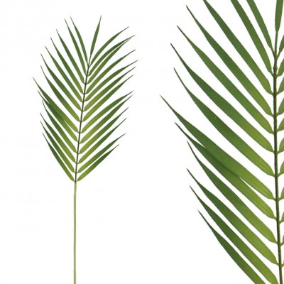 Frunza de palmier verde- H60cm 72/864KB