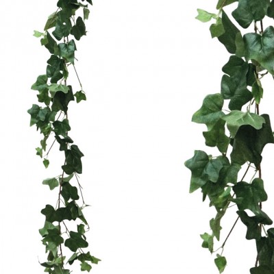 Ghirlanda iedera verdeY170cm 1/100KIB