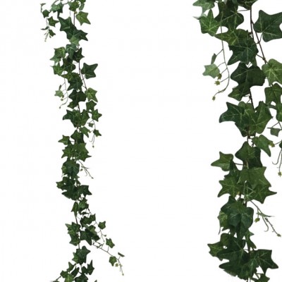Ghirlanda Iedera verde H185cm 36/216KB