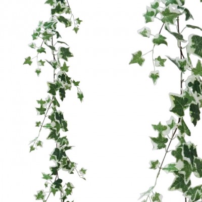 Ghirlanda iedera in doua tonuri H185cm 36/216KB