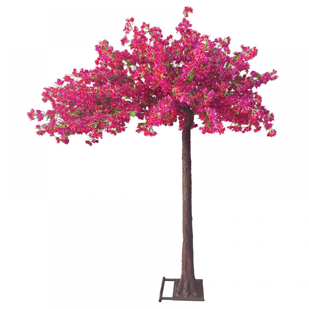 Arbore Boucambilia Fuchsia 260cm 