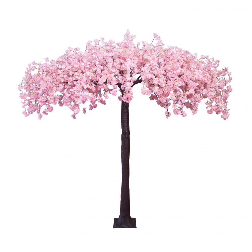 Arbore cires roz cu flori in cadere 310cm 