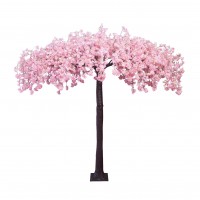 Arbore cires roz cu flori in cadere 310cm 