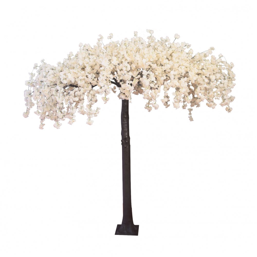 Arbore koro cu flori in cadere 310cm 