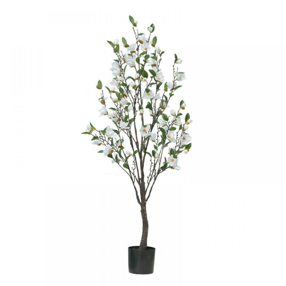 Ghiveci magnolie alb i H140cm 2/KB