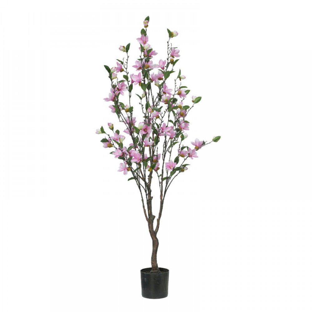 Ghiveci magnolie roz H140cm 2/KB