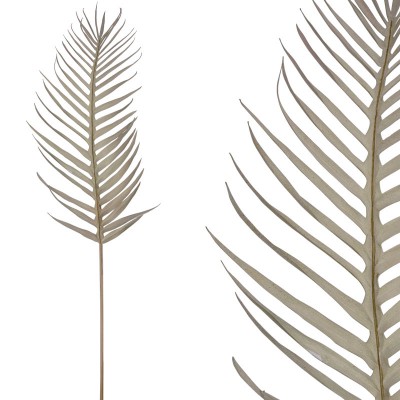 Frunza de palmier gri- H142cm 12/72KB