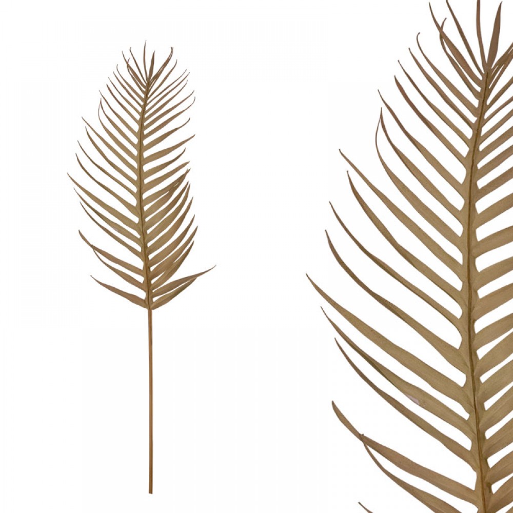 Frunza de palmier maro - H105cm 12/96KB